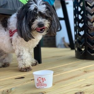 Meet your Posher, Micah